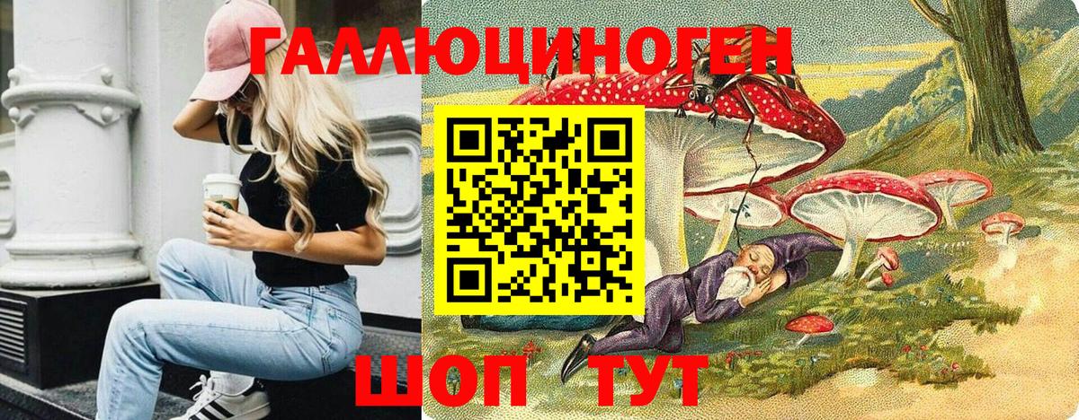 Шелехов  Галлюциногенные грибы Psilocybine cubensis  наркота  Вход с VPN 