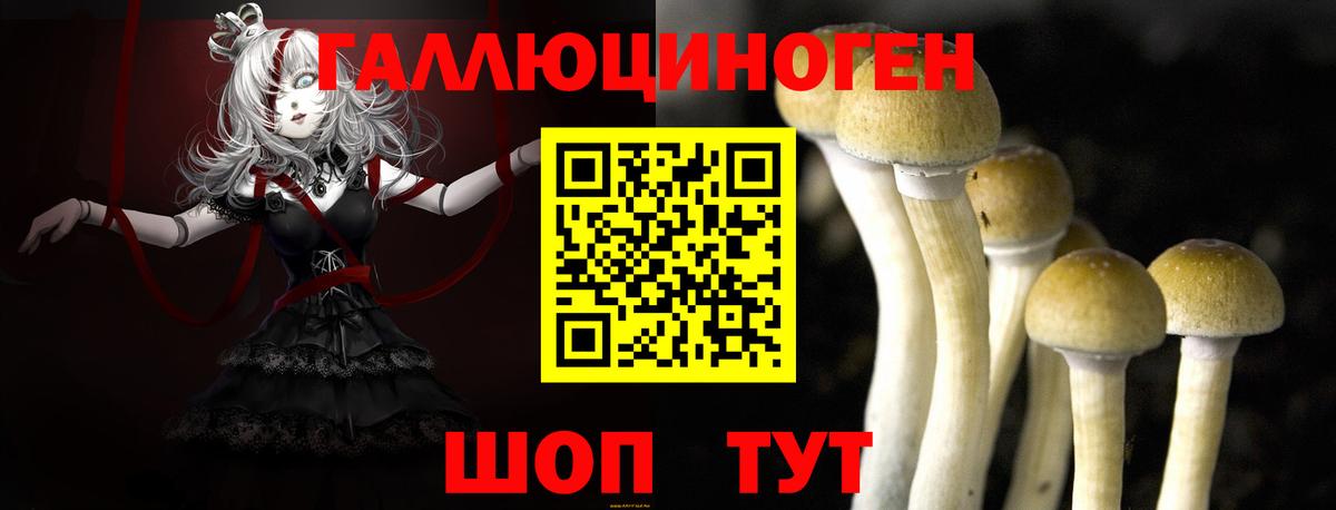 Галлюциногенные грибы Cubensis Шелехов